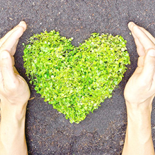 Groen hart